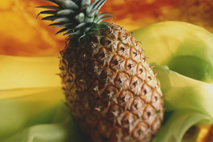 Hvordan vokse ananas