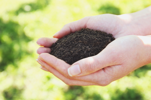 Как да направим почвата плодородна