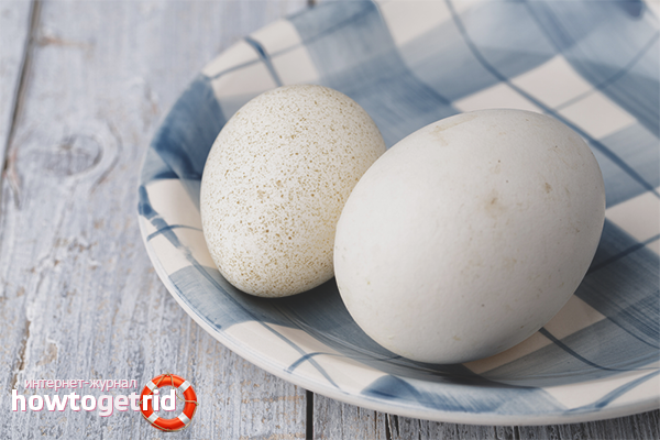 I benefici e i danni delle uova d'oca