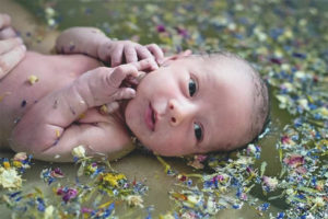 Herbes pour baigner les nouveau-nés