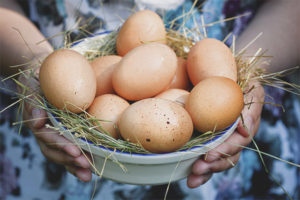 Могат ли бременните да ядат яйца